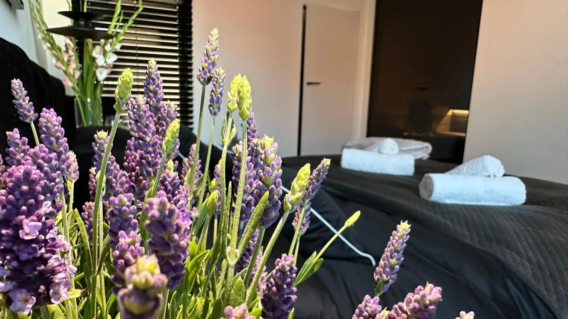 Gdansk Sauna Premium Apartment